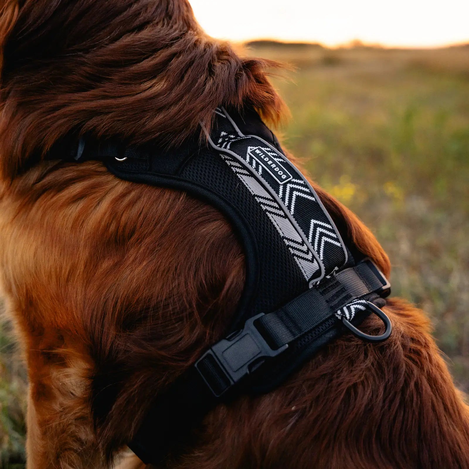 Adjustable reflective dog harness with breathable mesh