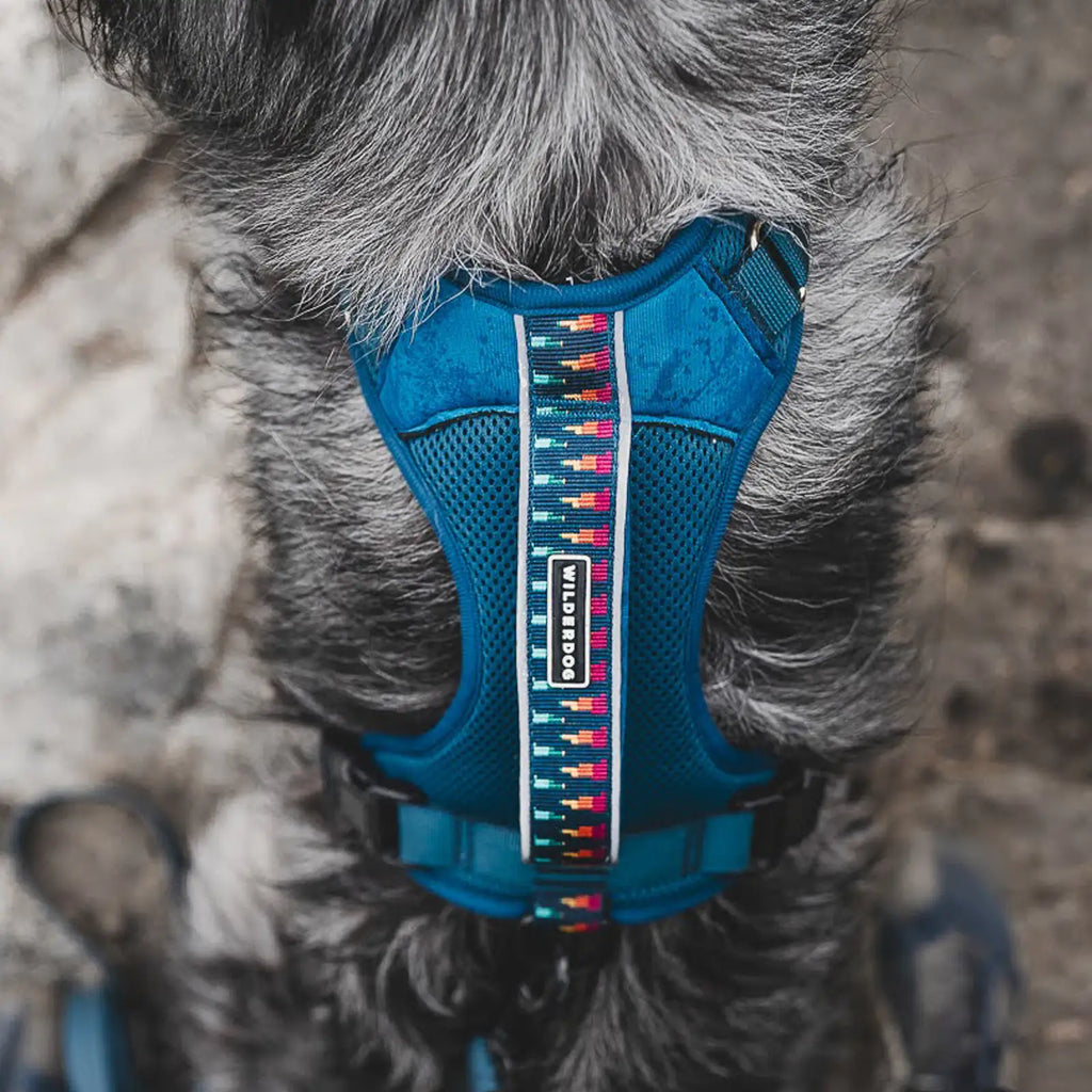 Adjustable reflective dog harness with breathable mesh