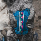 Adjustable reflective dog harness with breathable mesh