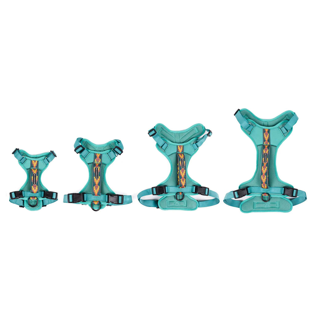 Adjustable reflective dog harness with breathable mesh