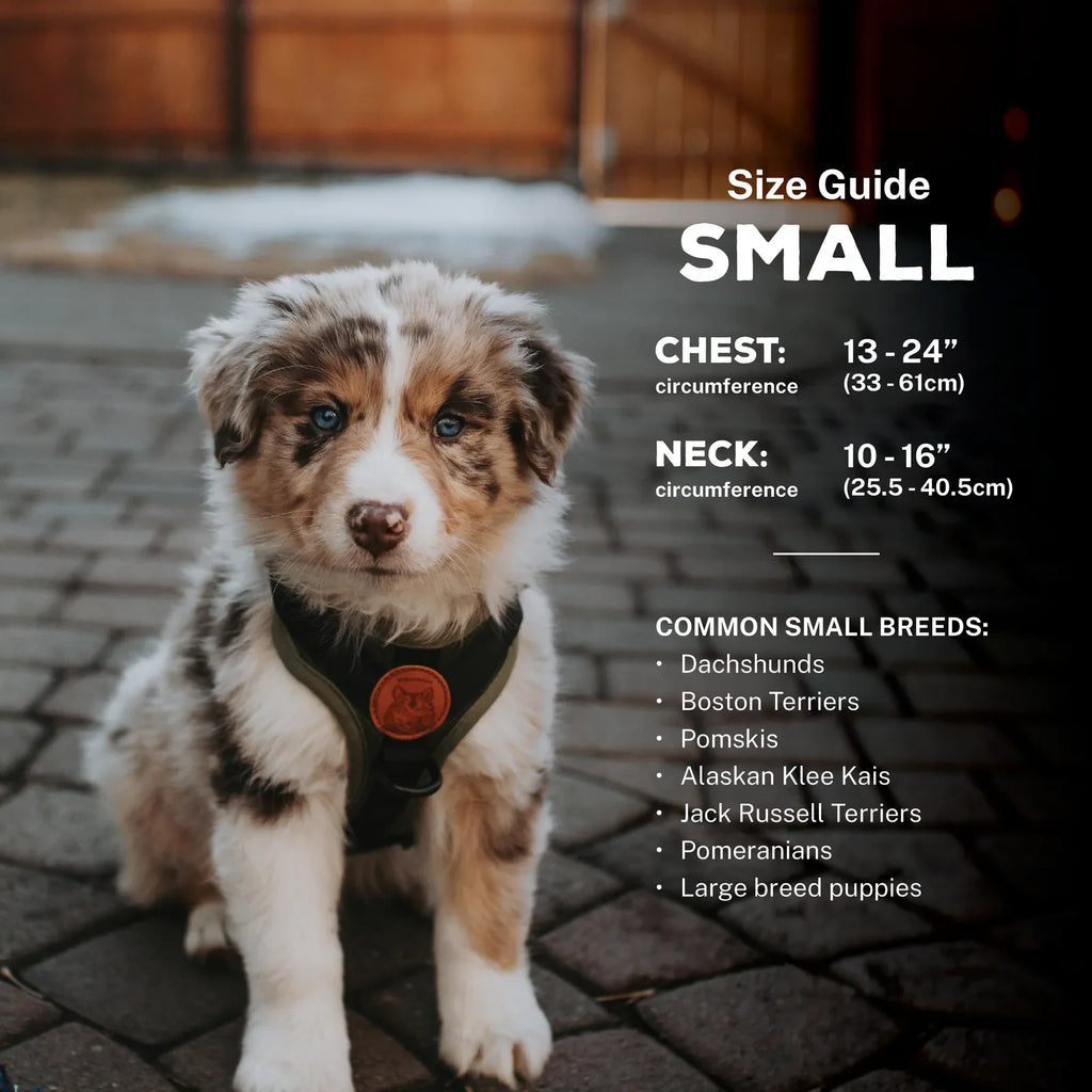Adjustable reflective dog harness with breathable mesh