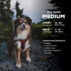 Adjustable reflective dog harness with breathable mesh