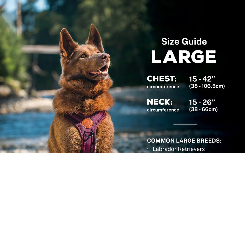 Adjustable reflective dog harness with breathable mesh