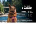 Adjustable reflective dog harness with breathable mesh