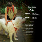 Adjustable reflective dog harness with breathable mesh