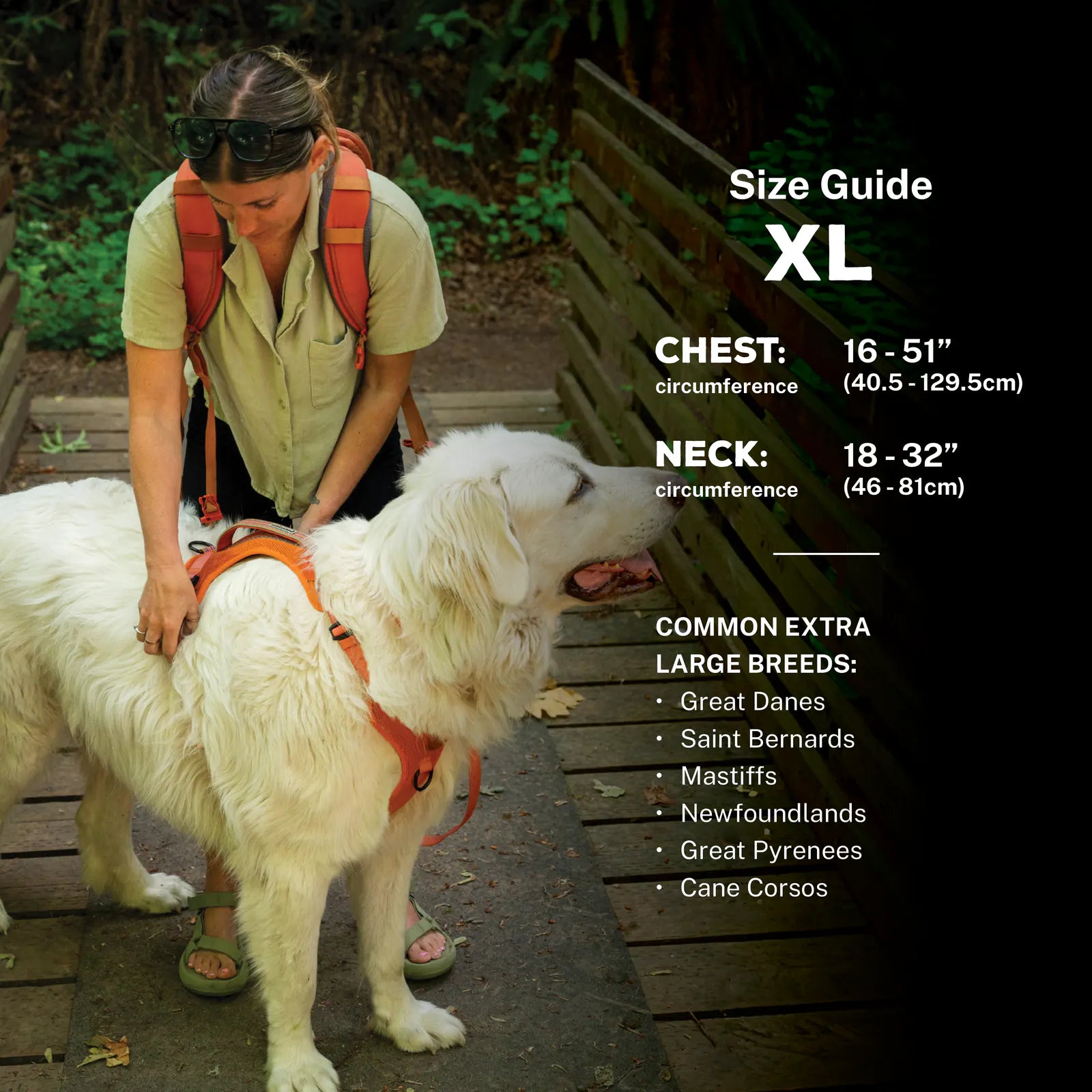 Adjustable reflective dog harness with breathable mesh