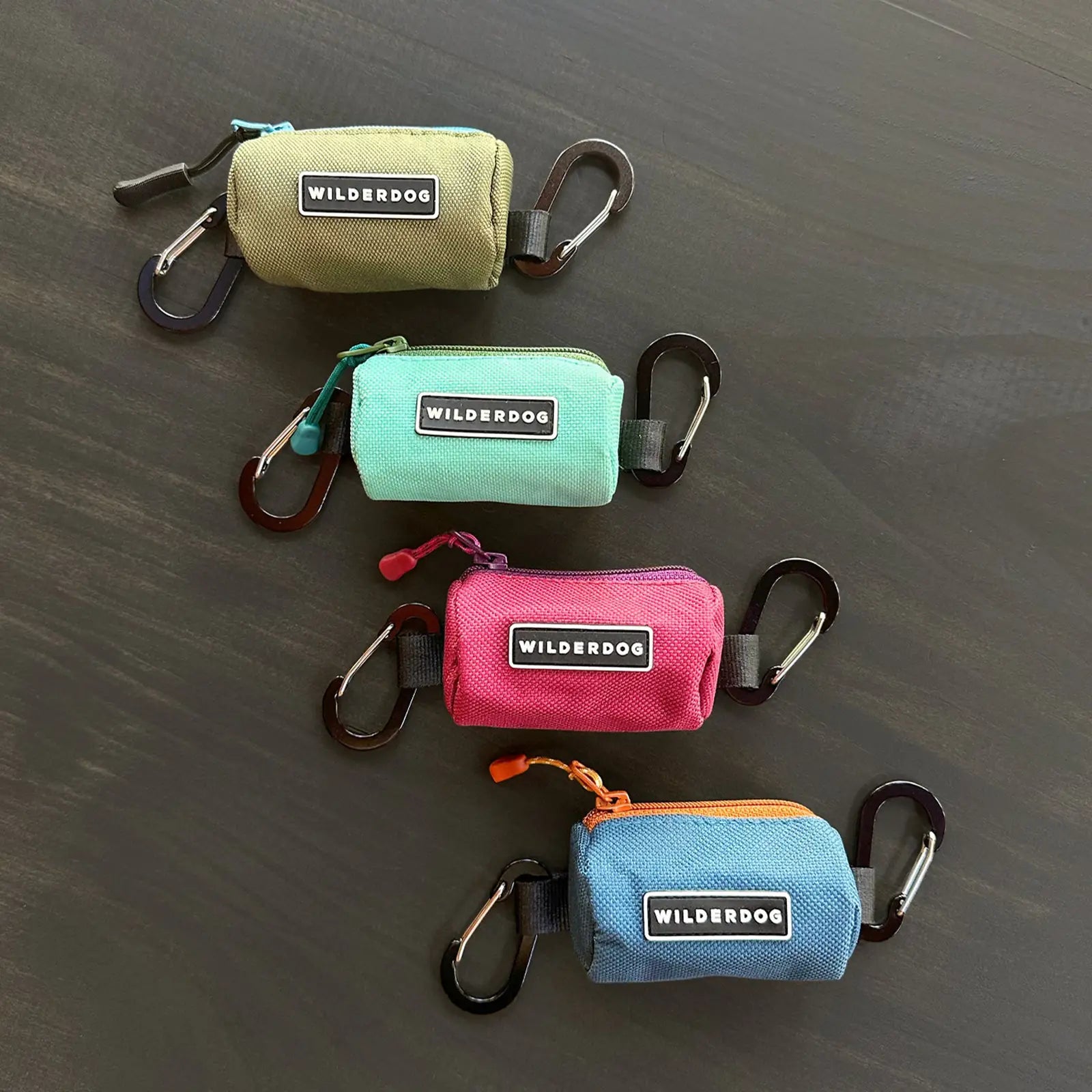 Dog waste bag holder with two mini carabiners