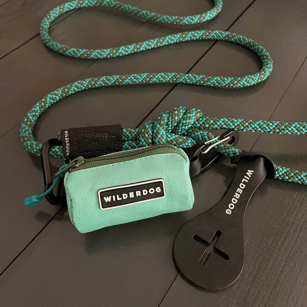 Dog waste bag holder with two mini carabiners