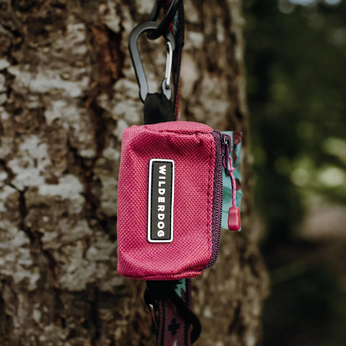 Dog waste bag holder with two mini carabiners