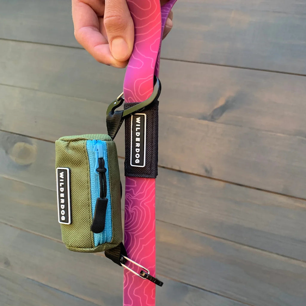 Dog waste bag holder with two mini carabiners