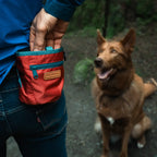 Dog training treat pouch with magnetic and zip closures