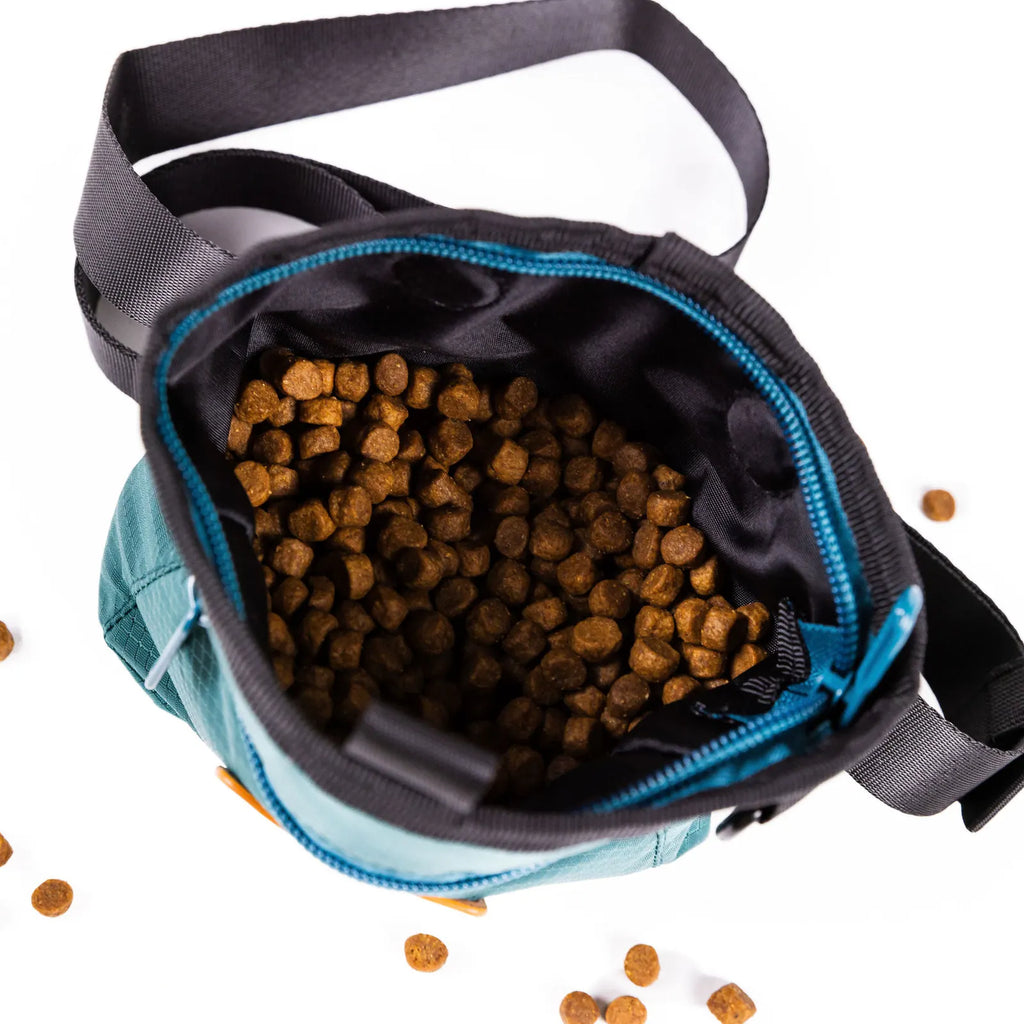Dog training treat pouch with magnetic and zip closures