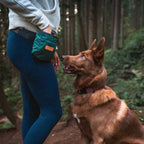 Dog training treat pouch with magnetic and zip closures