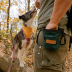 Dog training treat pouch with magnetic and zip closures