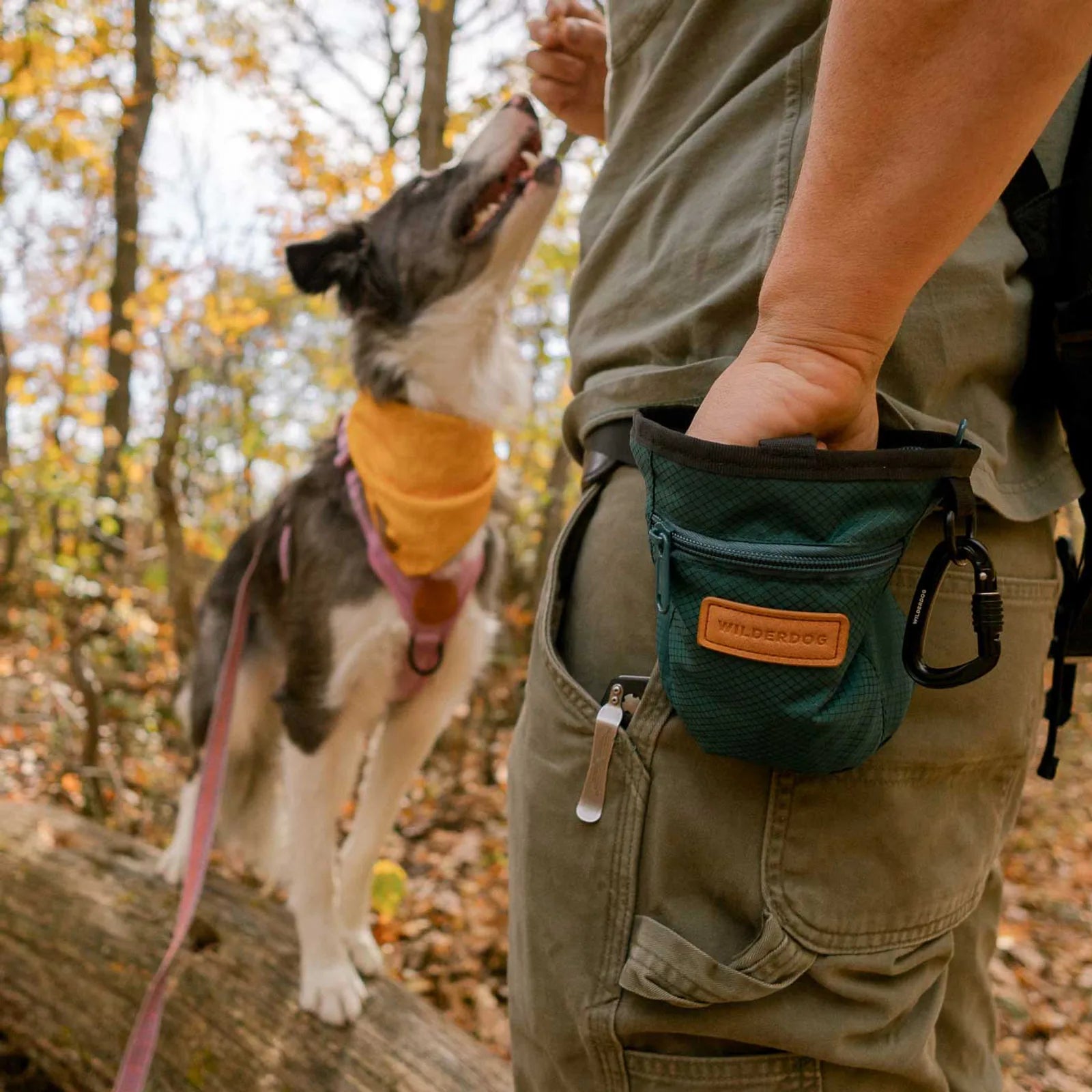 Dog training treat pouch with magnetic and zip closures