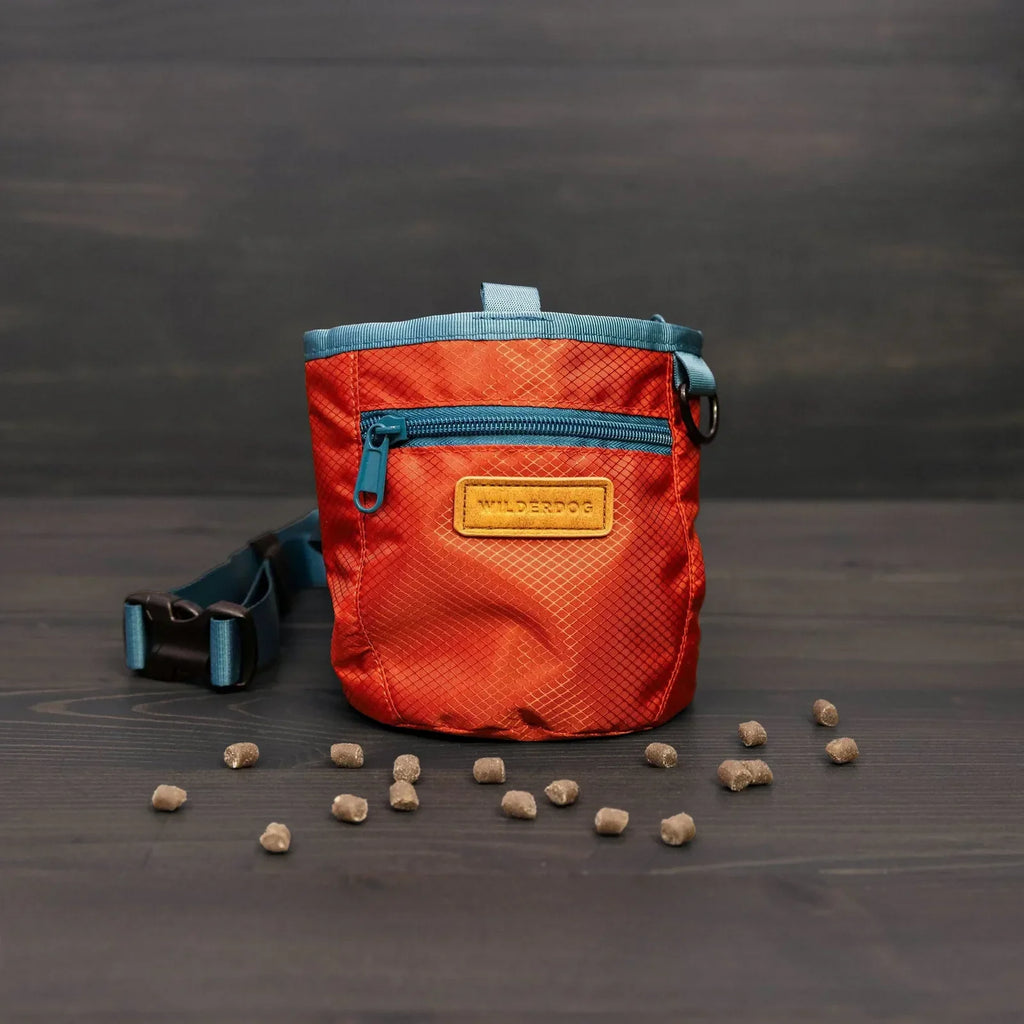 Dog training treat pouch with magnetic and zip closures - S84-DOG-P04-V001