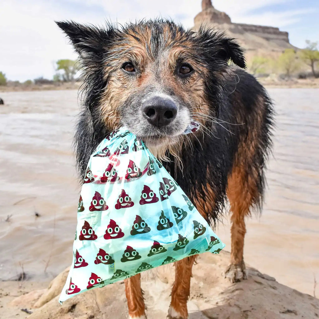 Extra thick dog waste bags in a 120 count pack