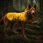 Waterproof reflective dog raincoat with removable hood