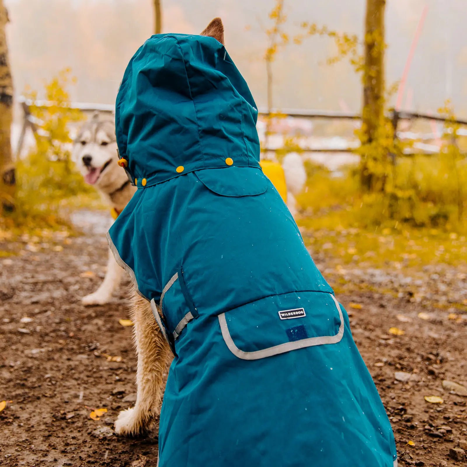 Waterproof reflective dog raincoat with removable hood