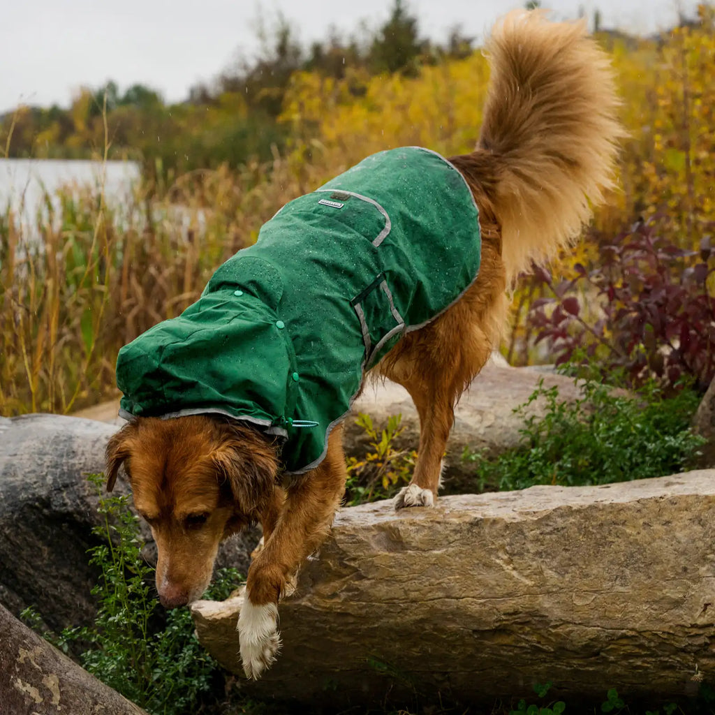 Waterproof reflective dog raincoat with removable hood