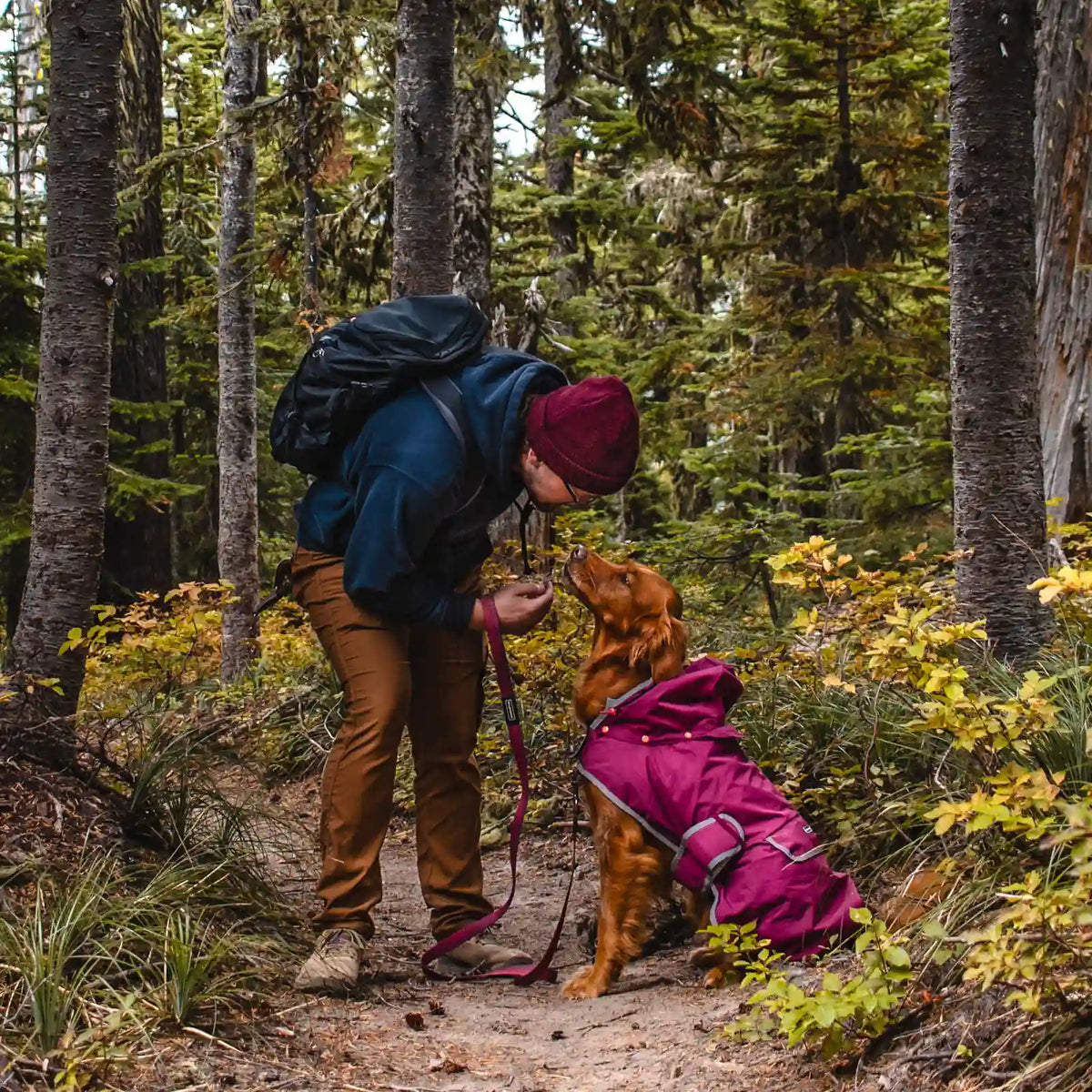 Waterproof reflective dog raincoat with removable hood