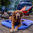 Water resistant dog camping sleeping bag with stuff sack