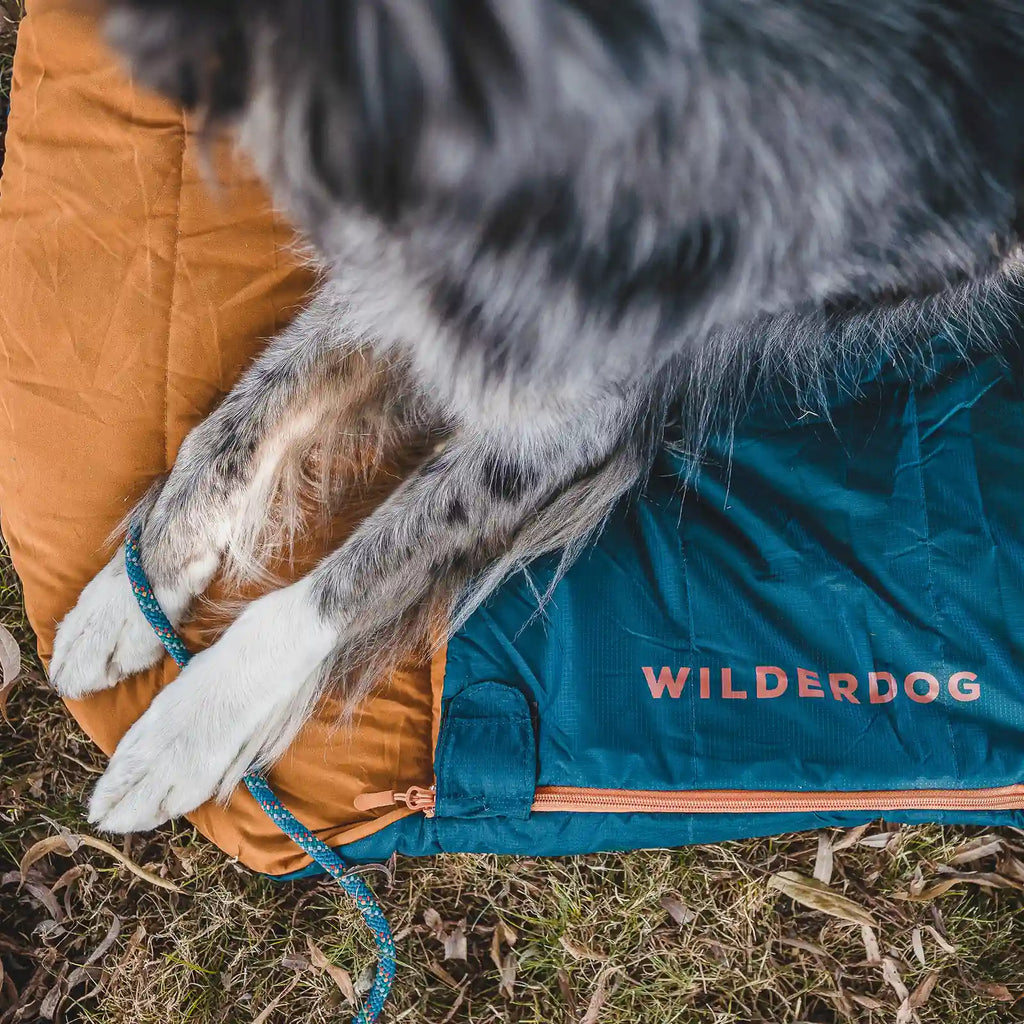 Water resistant dog camping sleeping bag with stuff sack