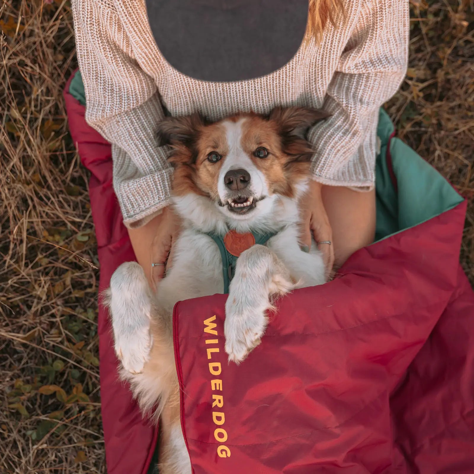 Water resistant dog camping sleeping bag with stuff sack