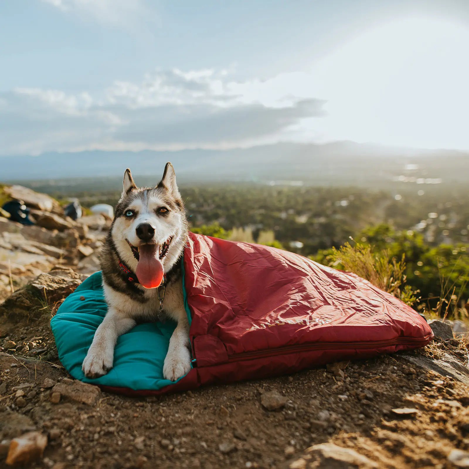 Water resistant dog camping sleeping bag with stuff sack
