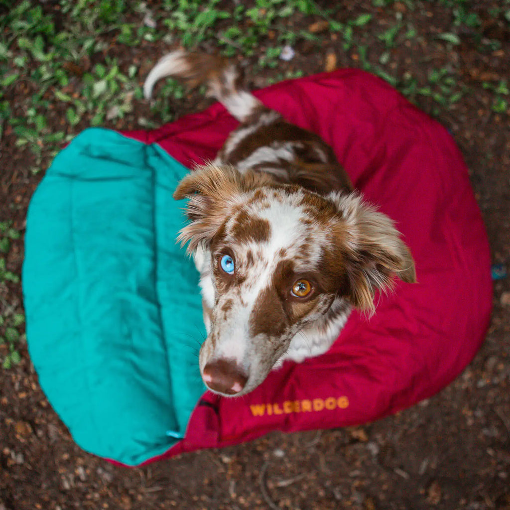 Water resistant dog camping sleeping bag with stuff sack
