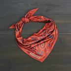 Red paisley cooling dog bandana for warm weather walks