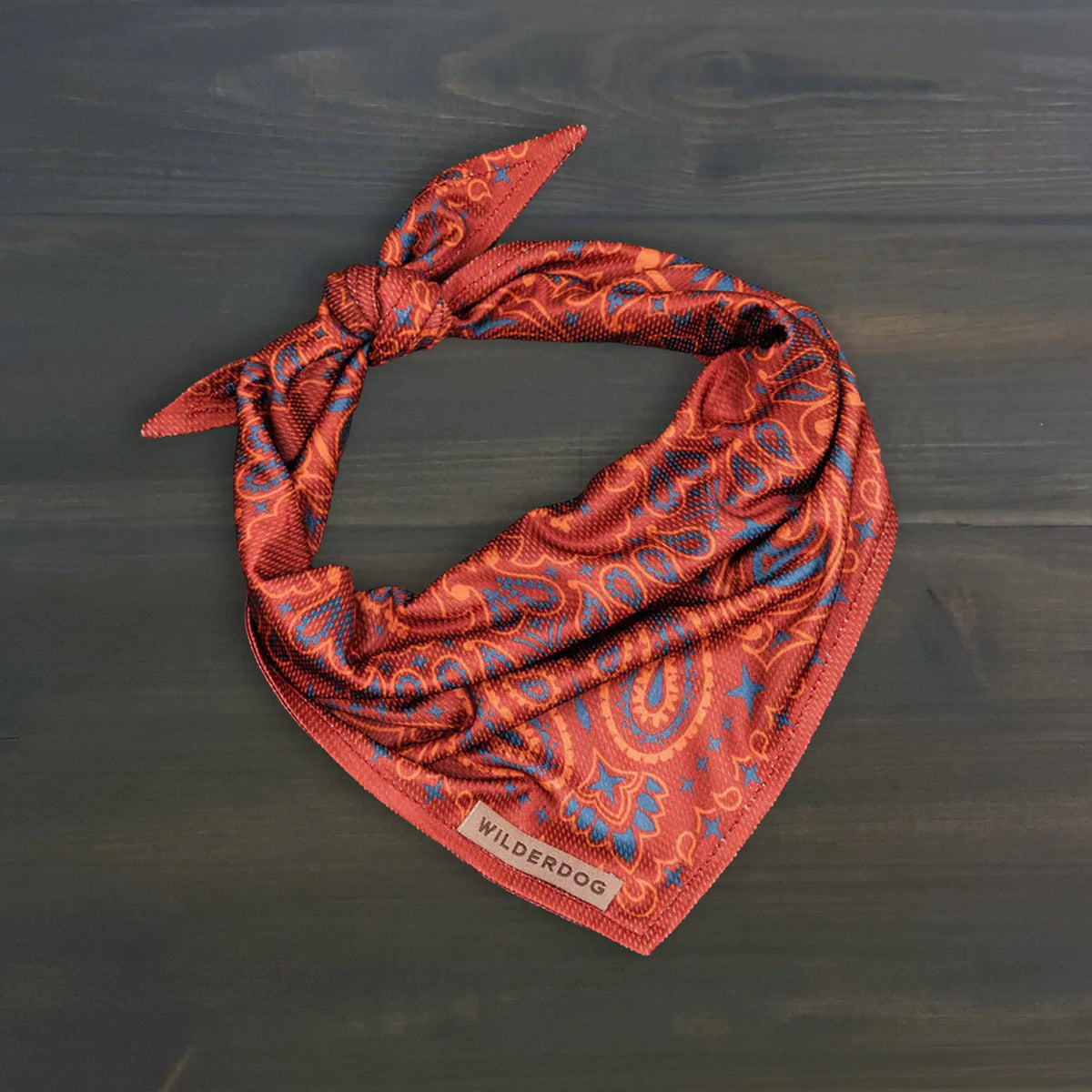 Red paisley cooling dog bandana for warm weather walks