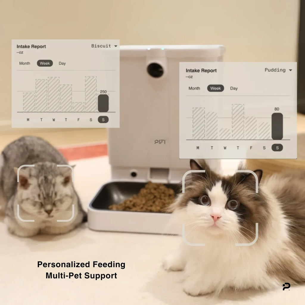 Smart Pet Feeder product image 13