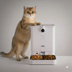 Smart Pet Feeder product image 14