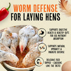 Poultry Feed Supplement product image 2