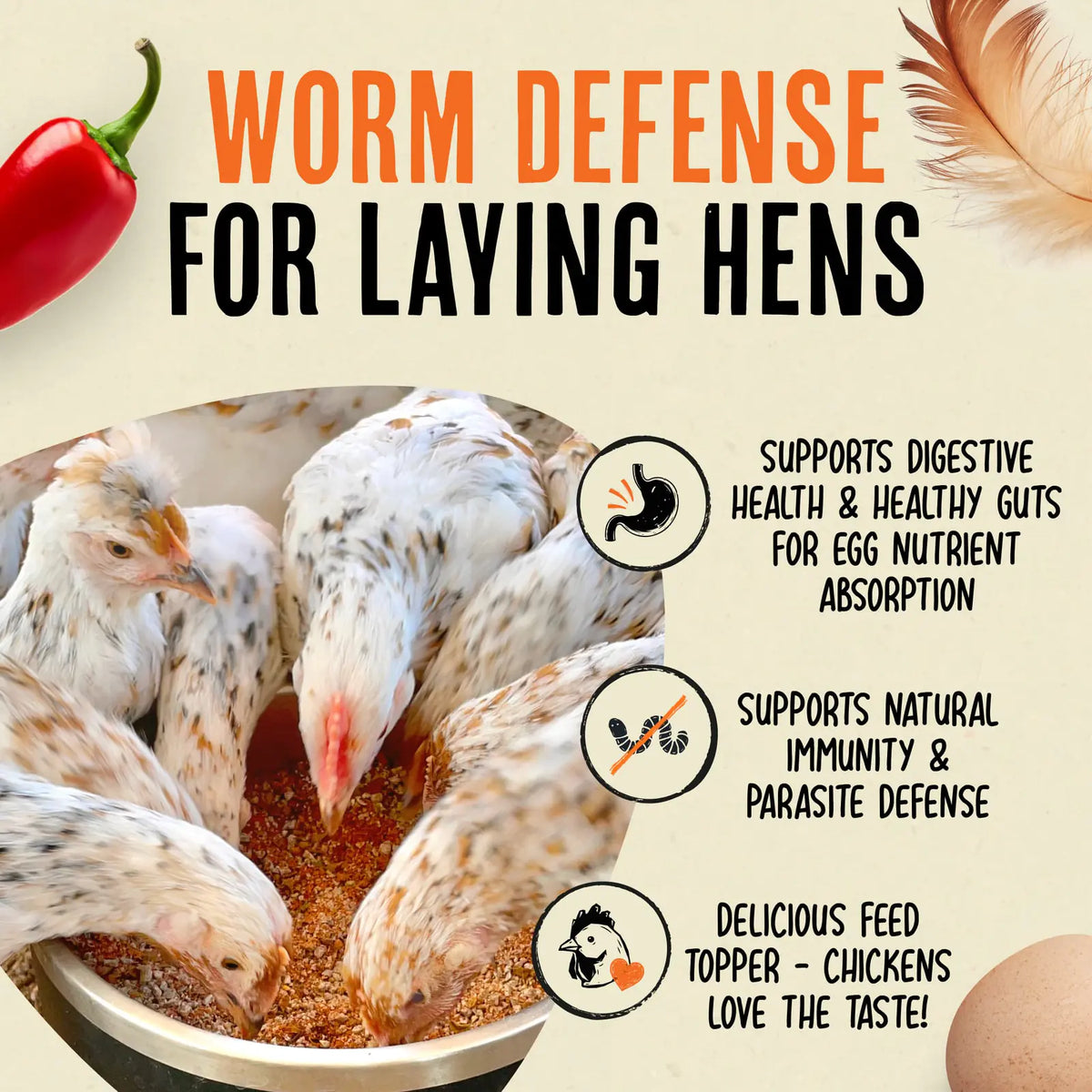 Poultry Feed Supplement product image 2