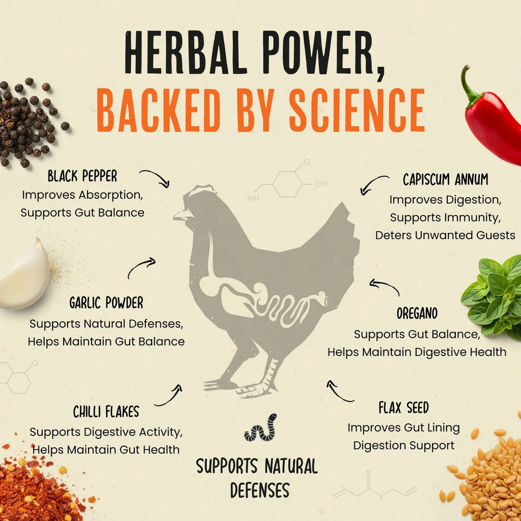 Poultry Feed Supplement product image 6