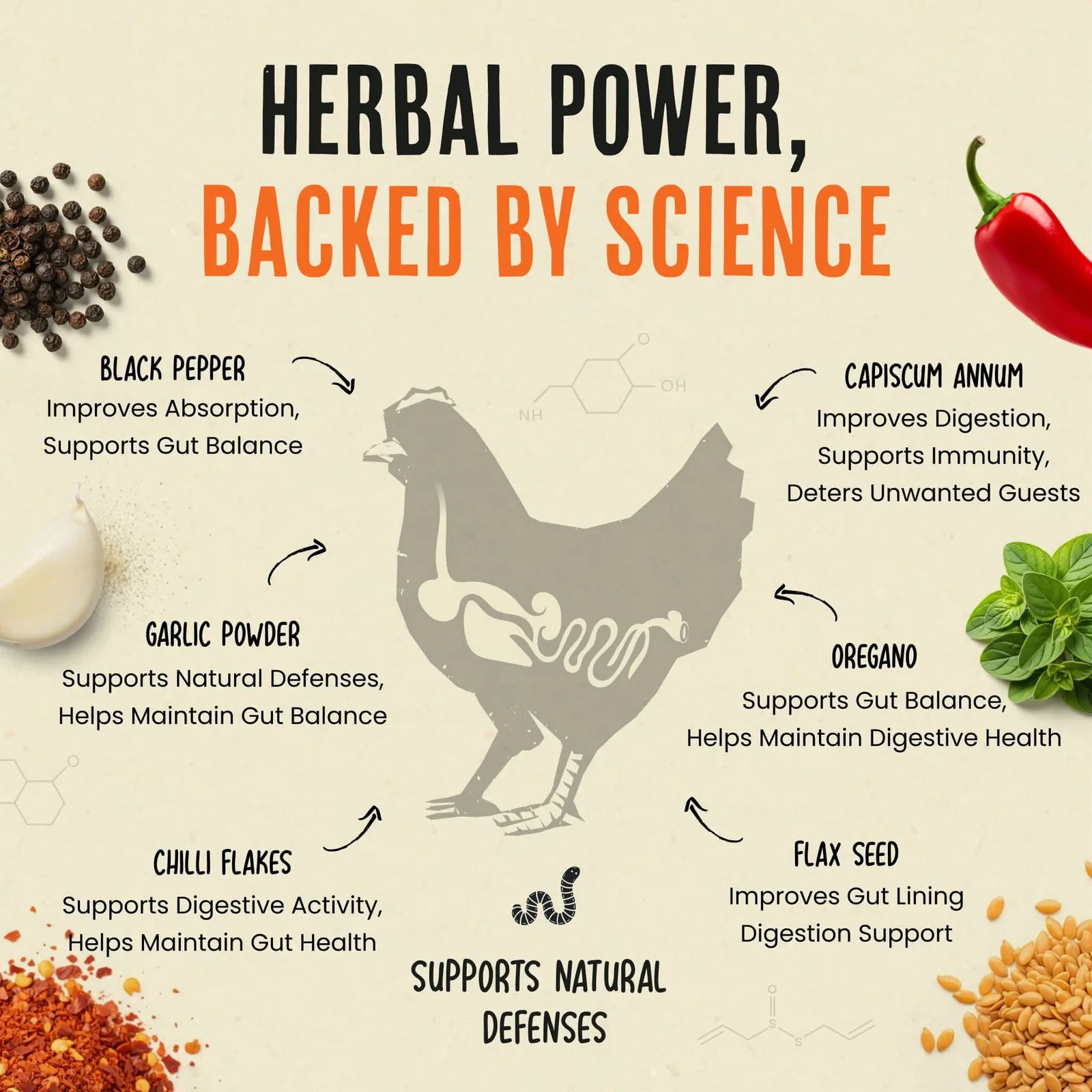 Poultry Feed Supplement product image 6