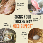 Poultry Feed Supplement product image 10