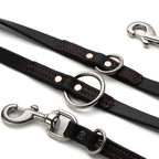 Dog Leash for Training and Daily Walks, Waterproof BioThane Design in Black with Red Stitching, 2.1 m Long