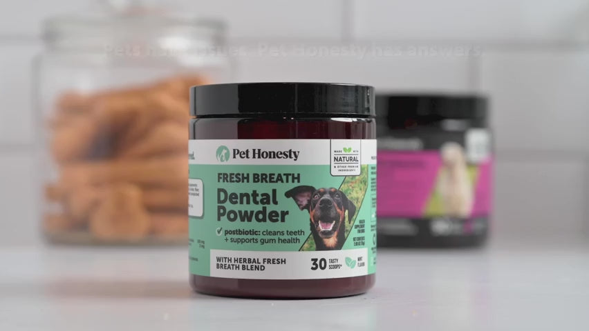 Fresh Breath Dental Powder for Dogs (60 servings) product demonstration