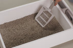 Wide-Slot Cat Litter Scoop with TPE Comfort Grip and Rounded Corners for Fast Daily Sifting product demonstration video