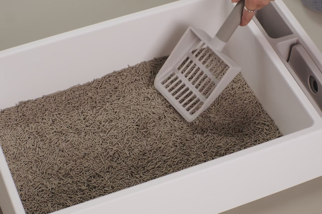 Wide-Slot Cat Litter Scoop with TPE Comfort Grip and Rounded Corners for Fast Daily Sifting product demonstration video