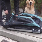 Convertible Dog Bike Trailer and Stroller for Medium or Large Dogs, Roll-Up Windows and 75- or 100-Lb Capacity source demonstration video
