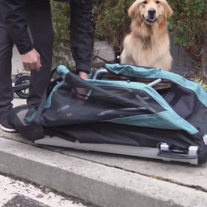 Convertible Dog Bike Trailer and Stroller for Medium or Large Dogs, Roll-Up Windows and 75- or 100-Lb Capacity source demonstration video