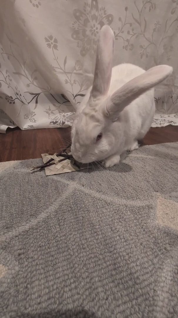 Organic Pear Nibble Sticks for Rabbits, Natural Chew Treats in 1 oz and 3 oz Bags for Daily Enrichment source demonstration video