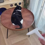Curved Pet Deshedding Comb with Stainless Steel Teeth for Cats and Dogs, Easy-Grip Tool in Three Colors product demonstration video