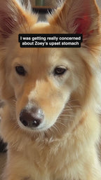 Soil-Based Probiotic Powder for Dogs, Daily Gut Support Blend in 92.1 g and 184.2 g Container Sizes product demonstration video