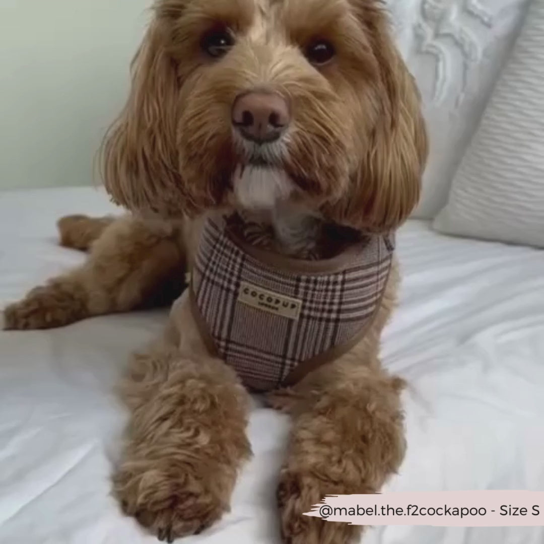 Adjustable Plaid Dog Harness for Comfortable Walks, Lightweight Polyester Design in Five Sizes source demonstration video