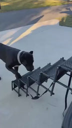 Foldable Vehicle Dog Steps for SUVs and Trucks, Waterproof Non-Slip Treads in Four-Step or Five-Step Sizes product demonstration video
